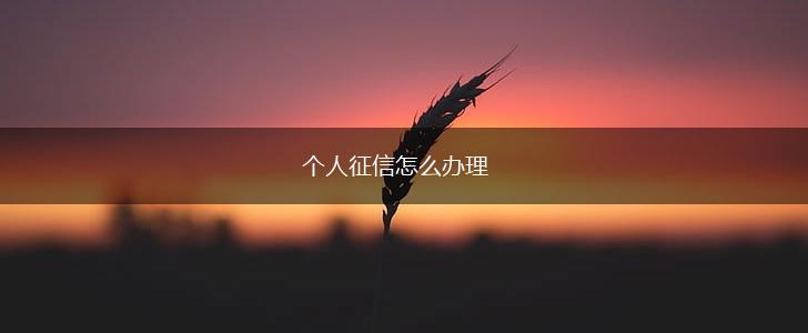 个人征信怎么办理,第1张