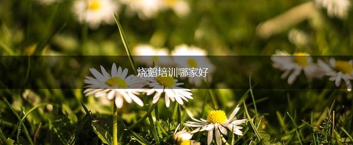 烧鹅培训哪家好,第1张