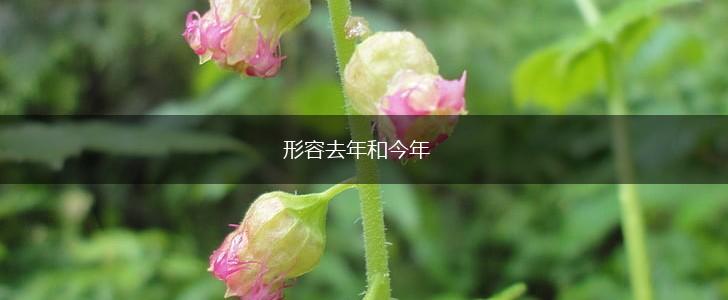 形容去年和今年,第1张