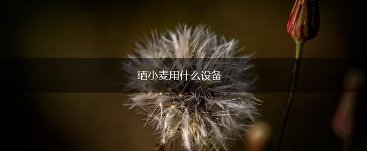 晒小麦用什么设备,第1张