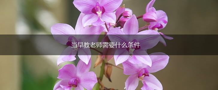 当早教老师需要什么条件,第1张