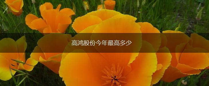 高鸿股份今年最高多少,第1张
