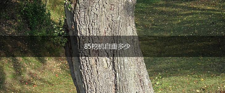 85挖机自重多少,第1张