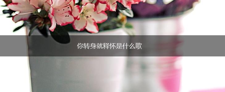 你转身就释怀是什么歌,第1张
