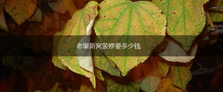老巢新窝装修要多少钱,第1张