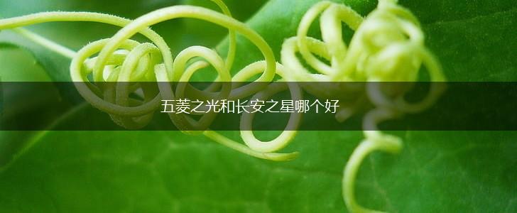 五菱之光和长安之星哪个好,第1张