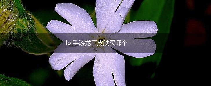 lol手游龙王皮肤买哪个,第1张