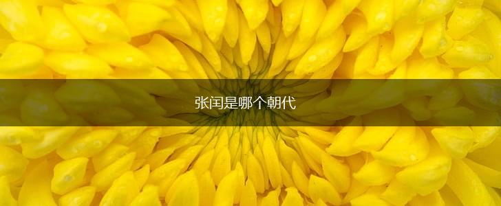 张闰是哪个朝代,第1张