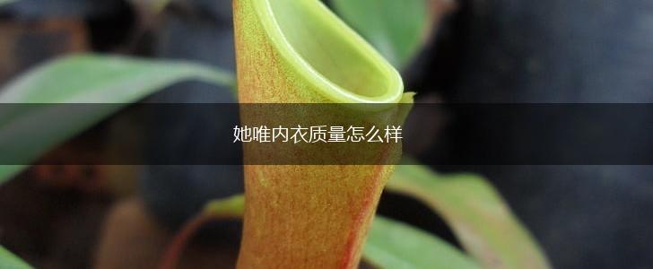 她唯内衣质量怎么样,第1张
