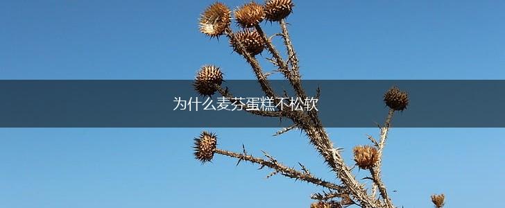 为什么麦芬蛋糕不松软,第1张