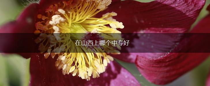在山西上哪个中专好,第1张