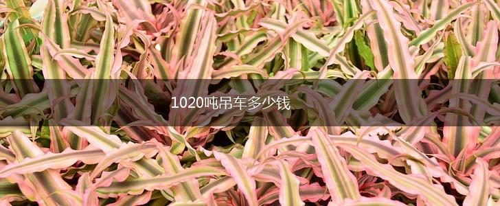 1020吨吊车多少钱,第1张