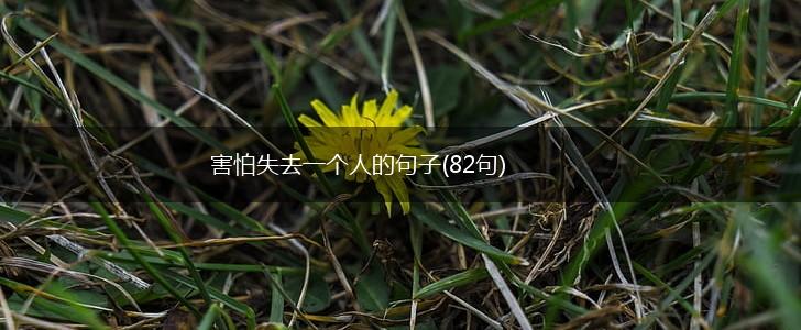 害怕失去一个人的句子(82句),第1张