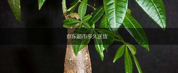 京东超市多久送货,第1张