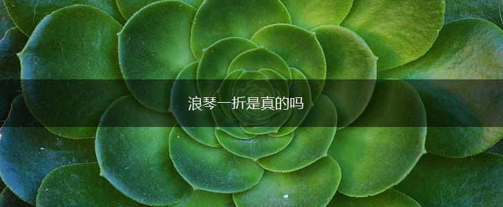 浪琴一折是真的吗,第1张