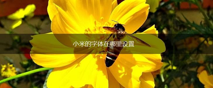 小米的字体在哪里设置,第1张