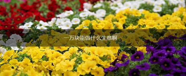 一万块能做什么生意啊,第1张