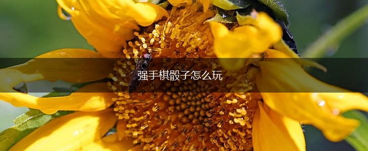 强手棋骰子怎么玩,第1张