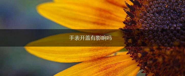 手表开盖有影响吗,第1张