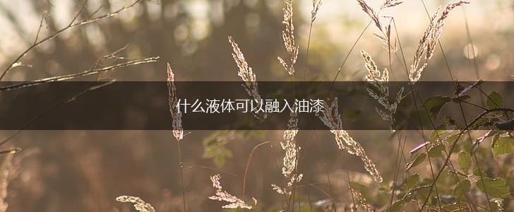 什么液体可以融入油漆,第1张