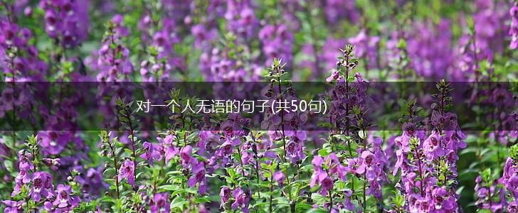 对一个人无语的句子(共50句),第1张
