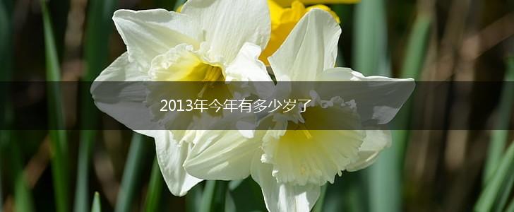 2013年今年有多少岁了,第1张