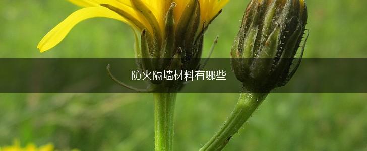 防火隔墙材料有哪些,第1张