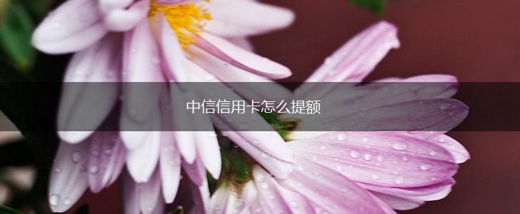 中信信用卡怎么提额,第1张