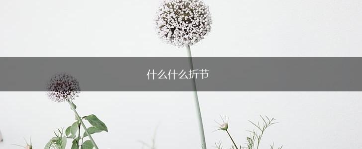 什么什么折节,第1张