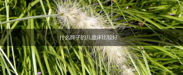 什么牌子的儿童床比较好,第1张