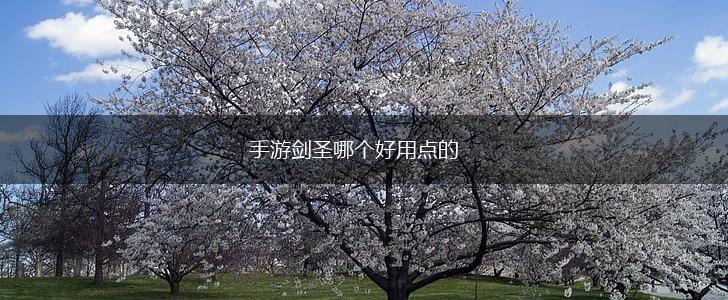 手游剑圣哪个好用点的,第1张
