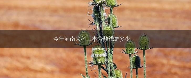 今年河南文科二本分数线是多少,第1张