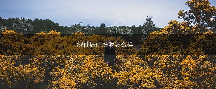 绿仙居硅藻泥怎么样,第1张