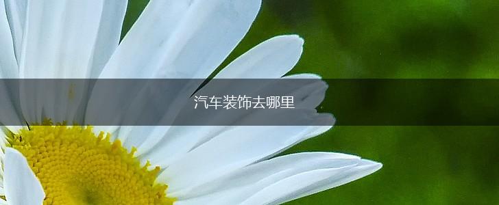 汽车装饰去哪里,第1张