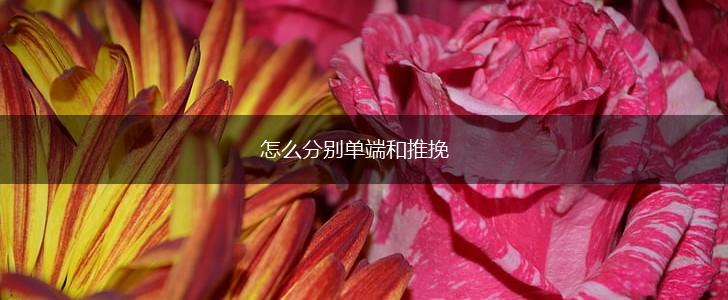 怎么分别单端和推挽,第1张