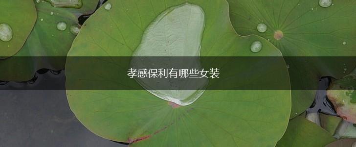 孝感保利有哪些女装,第1张