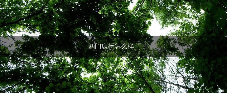 西门康桥怎么样,第1张