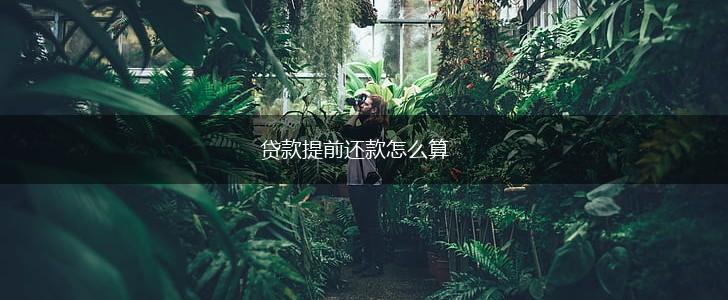 贷款提前还款怎么算,第1张