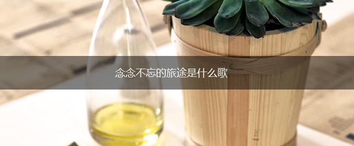 念念不忘的旅途是什么歌,第1张