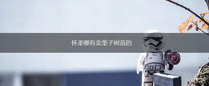 怀柔哪有卖栗子树苗的,第1张