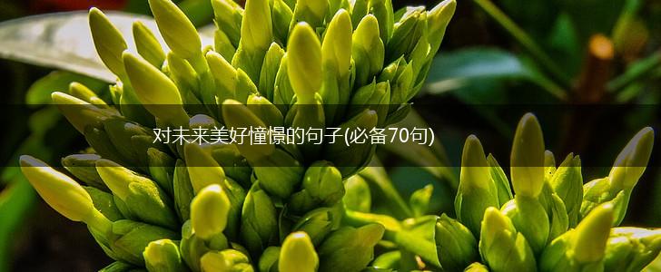 对未来美好憧憬的句子(必备70句),第1张
