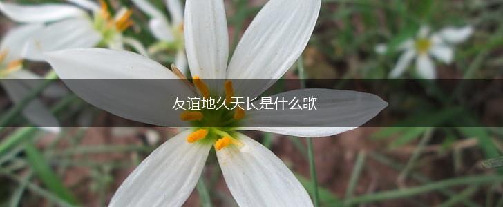 友谊地久天长是什么歌,第1张
