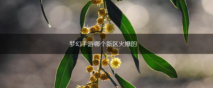 梦幻手游哪个新区火爆的,第1张