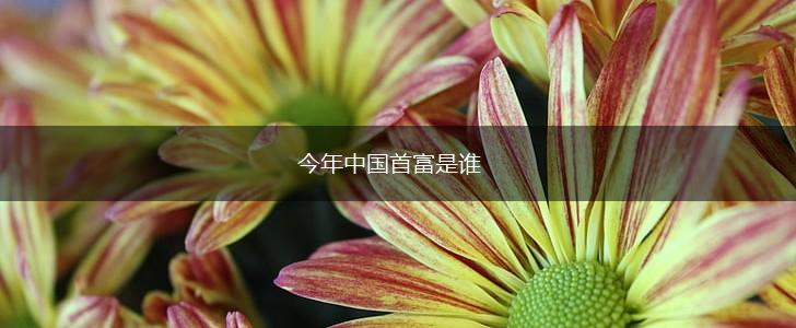 今年中国首富是谁,第1张