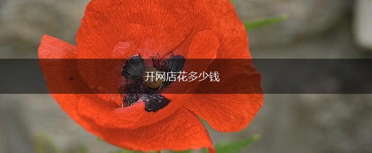开网店花多少钱,第1张