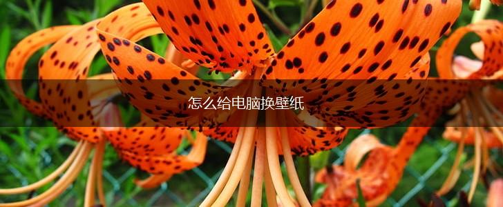 怎么给电脑换壁纸,第1张