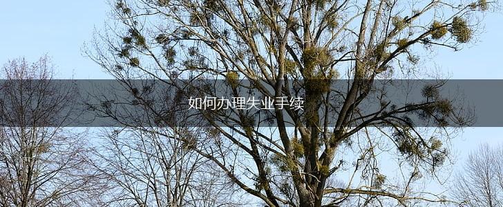 如何办理失业手续,第1张