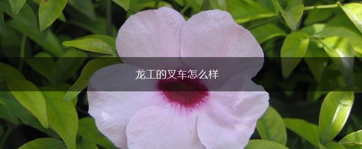 龙工的叉车怎么样,第1张