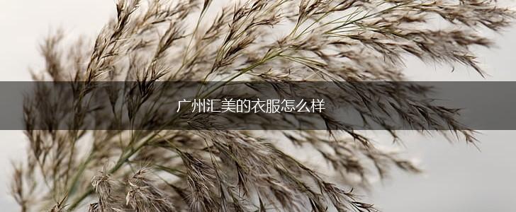 广州汇美的衣服怎么样,第1张