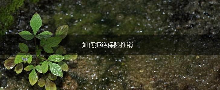 如何拒绝保险推销,第1张